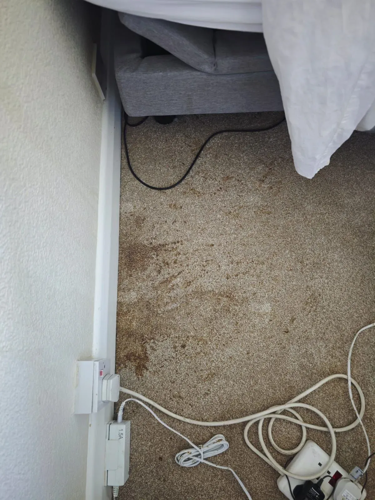 Before: carpet edges, trapped dirt lifted along the skirting