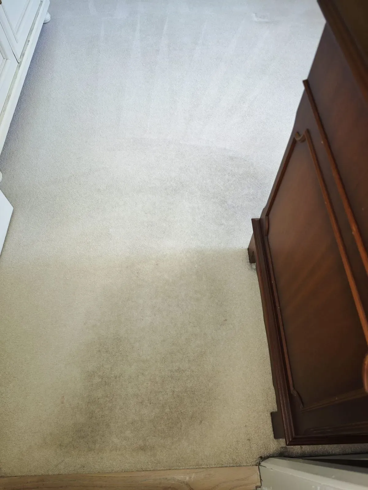 Before: landing carpet, ground-in soiling lifted and pile groomed